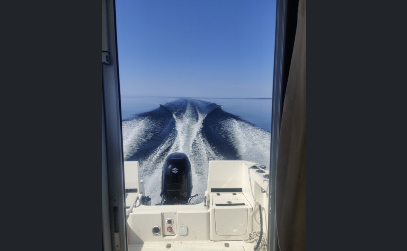 Quicksilver 555 Pilothouse-kuva-6